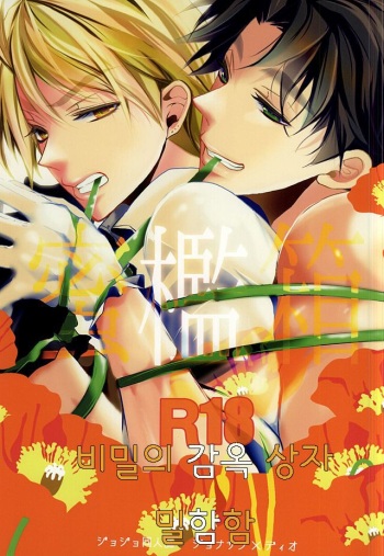 (WRY-FES2) [Kanakana Shoutengai (Riuta Gao)] Mitsuori-bako (JoJo's Bizarre Adventure) [Korean] cover