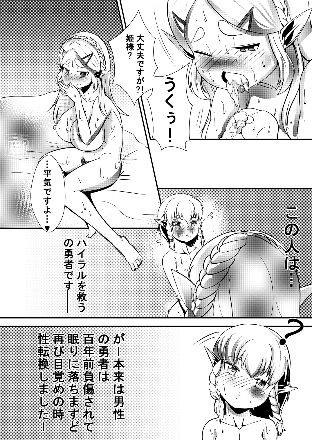 Hime do Yuusha no Hyrule Nichijou page 3 full