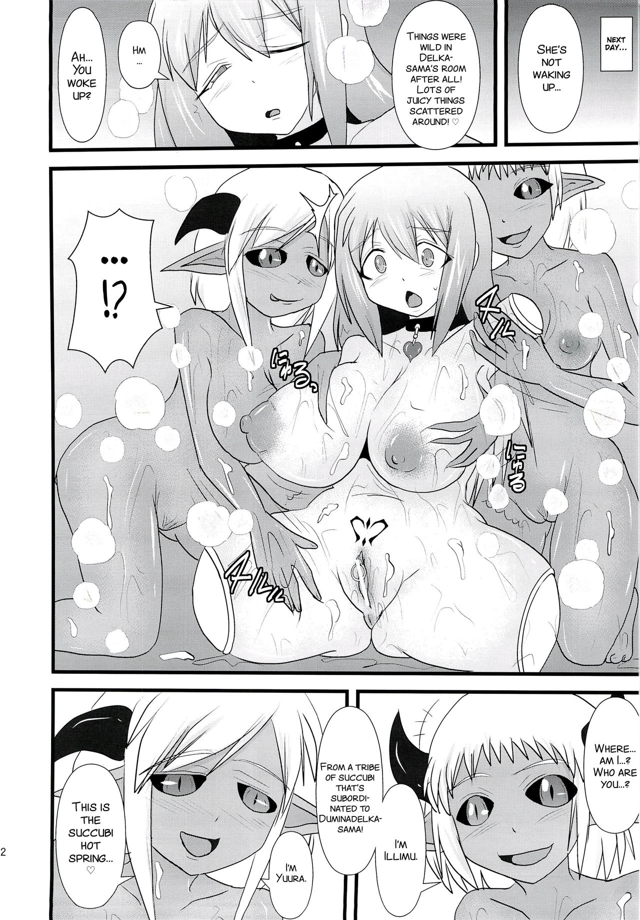 Shield Knight Elsain Vol. 14 "Succubus Ritual" page 12 full