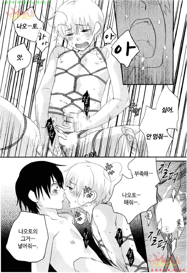 Aigan Doll 100% | 애완 돌 100% page 11 full