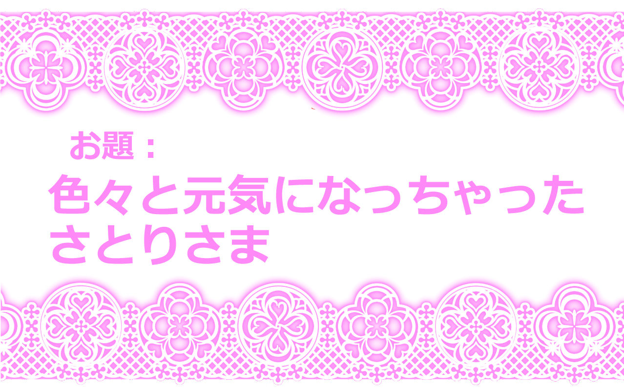 Touhou Pragmatizer Sono 8 page 12 full