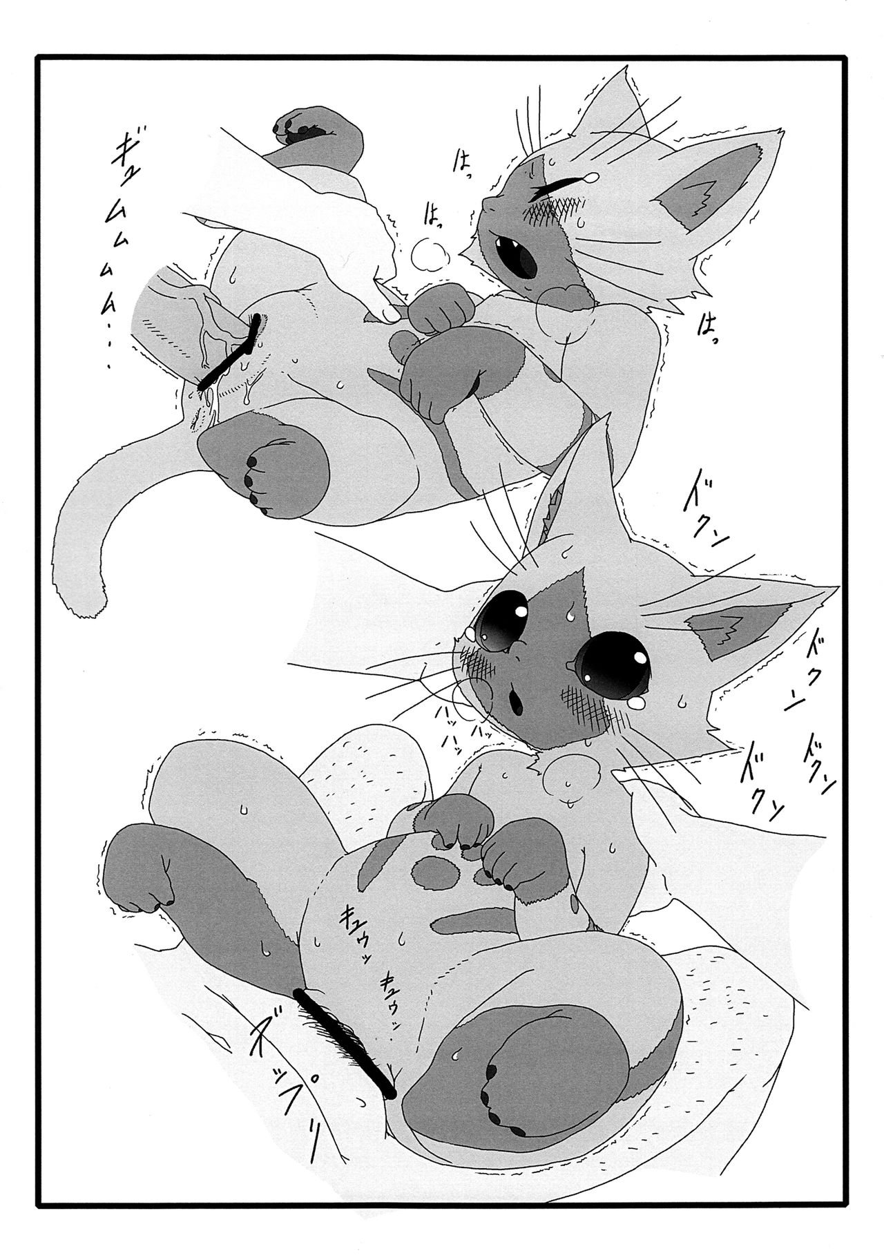 Yoru no Otomo ni Airou o. | Late Night Prowler page 12 full