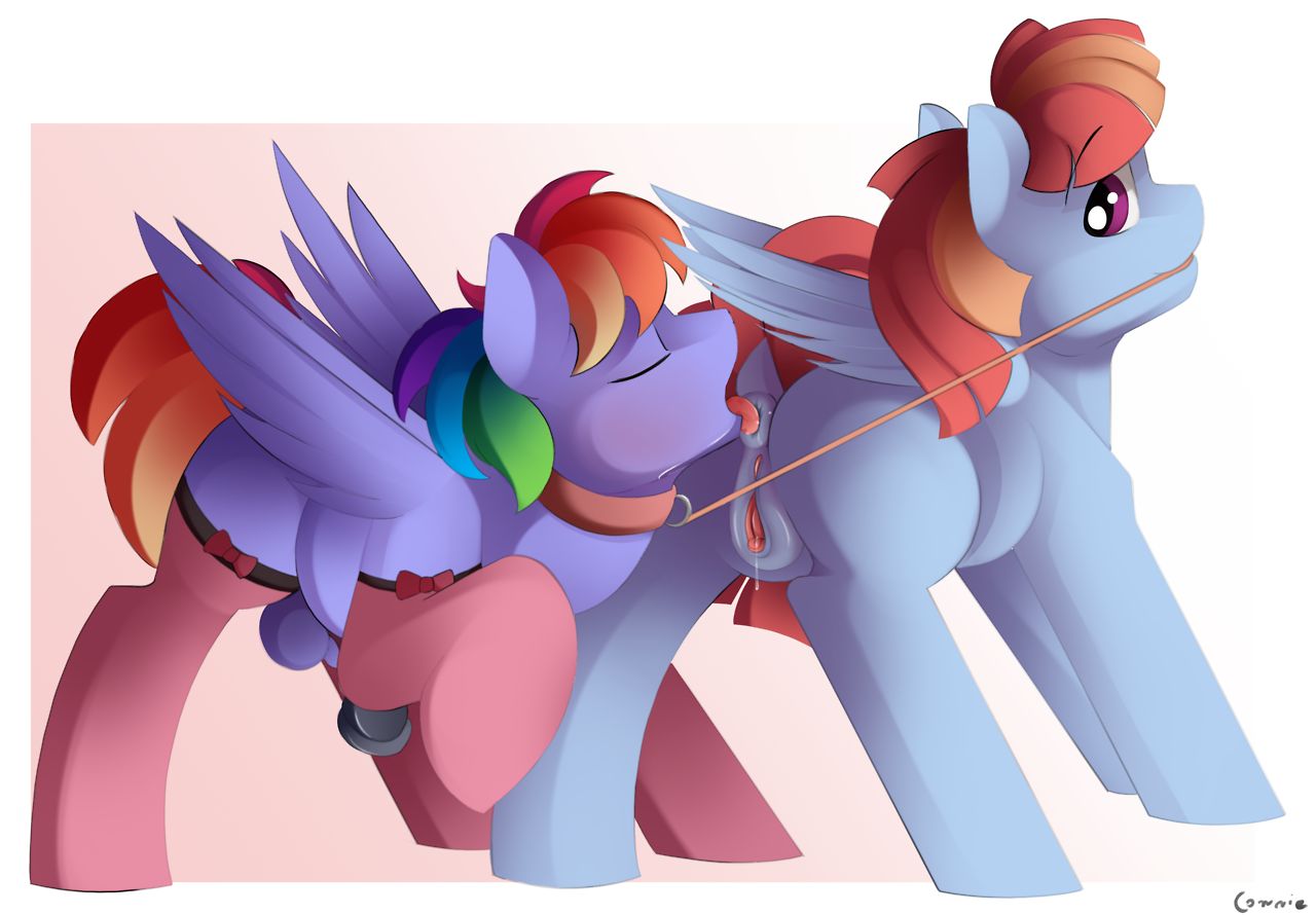 Windy Whistles - Rainbow Dash's Mom page 12 full