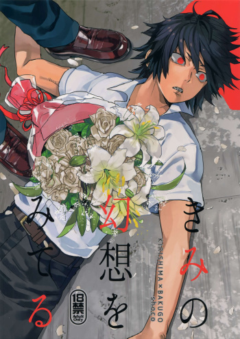(Douyara Deban no Youda! 12) [SCO.LABO (shoco)] Kimi no Gensou o Miteru (Boku no Hero Academia) cover