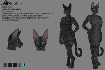 [SalonKitty] High Resolution and Exclusive Artworks cover