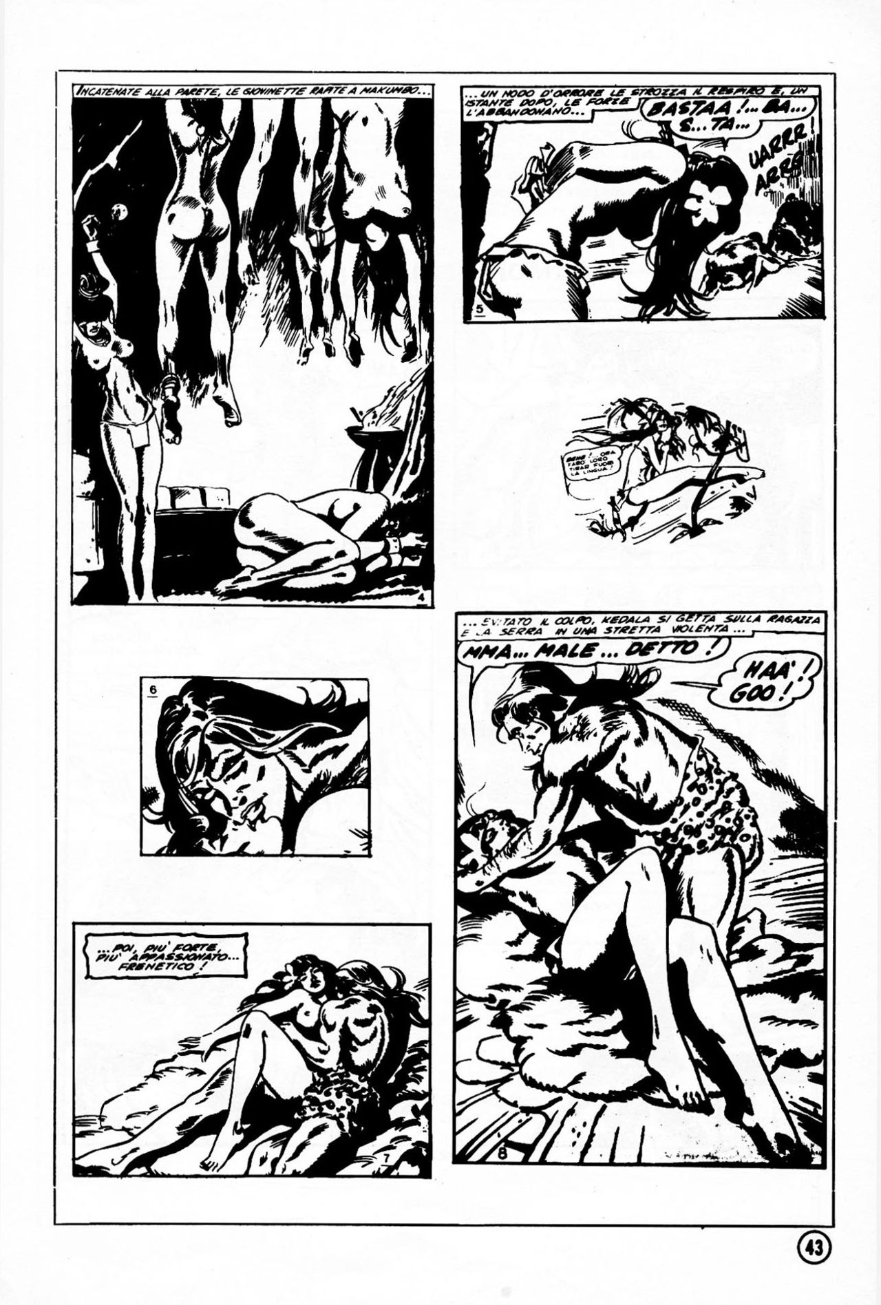 Elvifrance - Jungla - HS - Dossier page 10 full