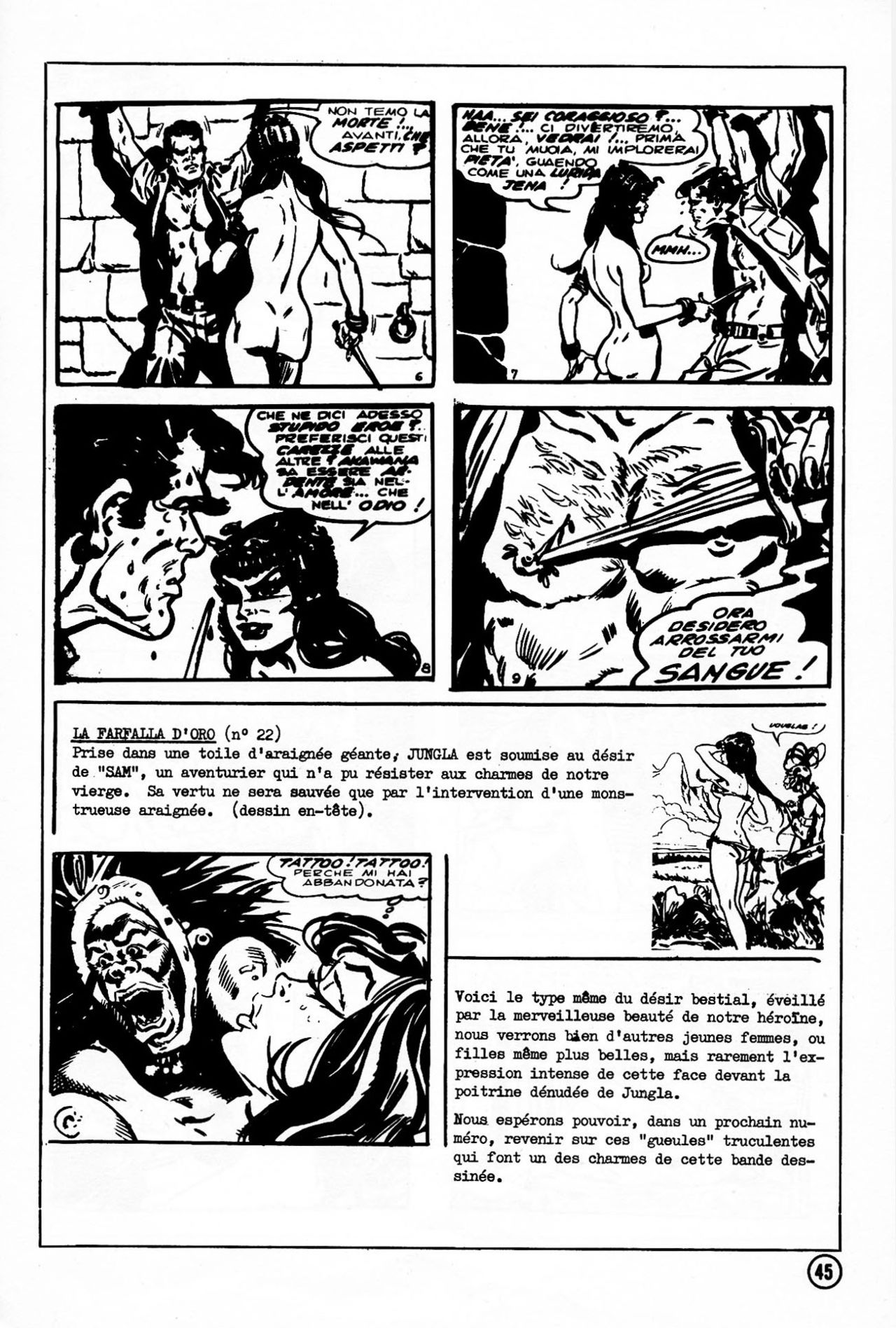 Elvifrance - Jungla - HS - Dossier page 12 full