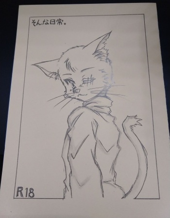 (C87) [Mini Salad (Ie Neko)]  Sonna Nichijou. cover