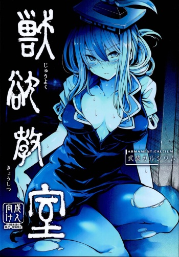 (C95) [Armament Calcium (Take Calcium)] Juuyoku Kyoushitsu (Touhou Project) cover