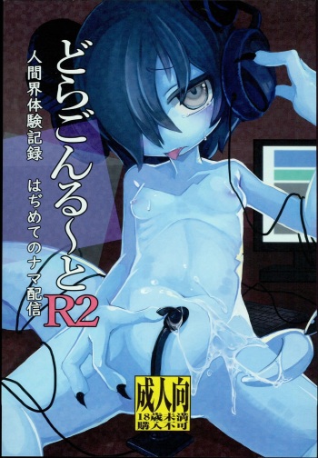 (C94) [Komaruya (Komaru)] Dragon Route R2 cover