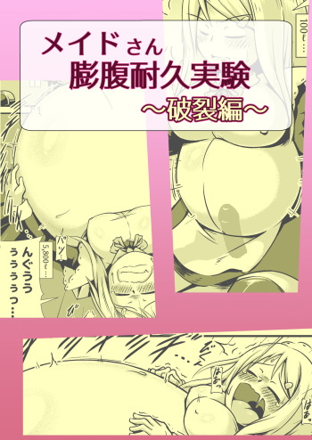 [Nanashi Inflation (binf)] Maid-san Boufuku Taikyuu Jikken ~Haretsu Hen~ [Digital] cover
