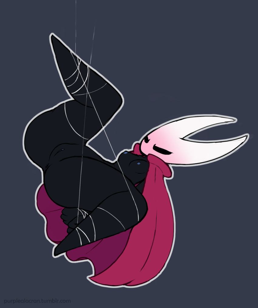 Hollow knight collection page 11 full