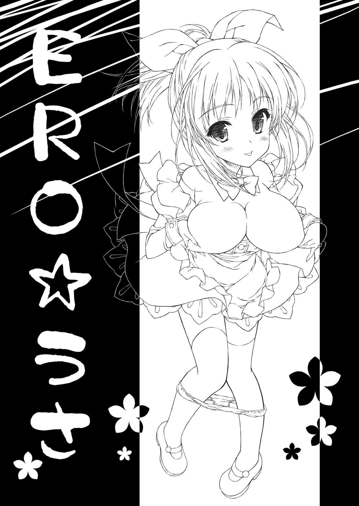 ERO Usa page 2 full