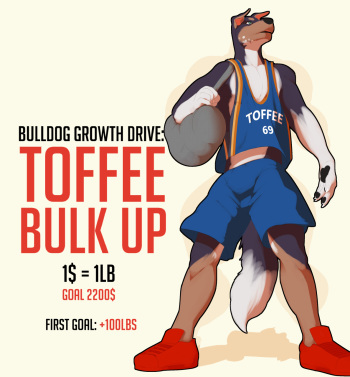 [whatinsomnia] Toffee Bulk Up! cover