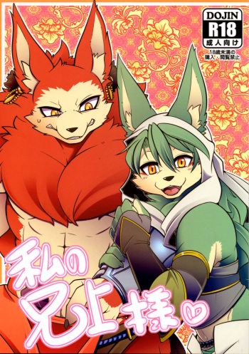 (C92) [Mercurochrome (Risuou)] Watashi no Aniue-sama cover
