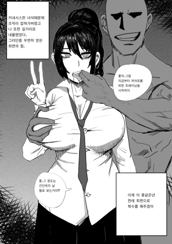[kimtuk] Maple Kinesis Manga (MapleStory) [Korean] cover