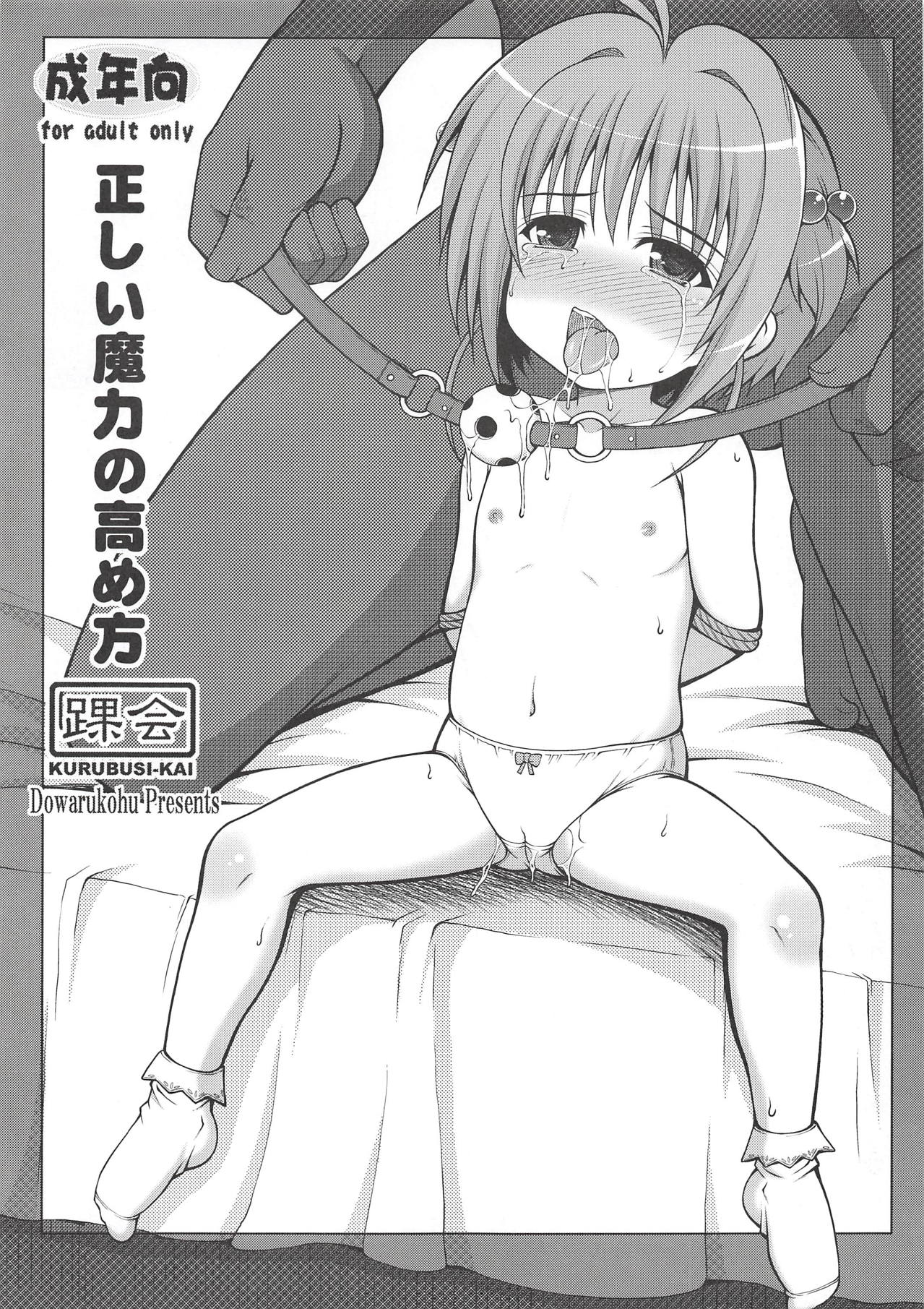 Tadashii Maryoku no Takamekata page 1 full
