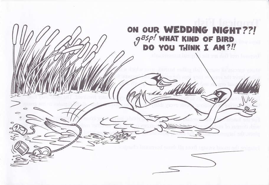 How the animals do it/Animated Animals page 10 full