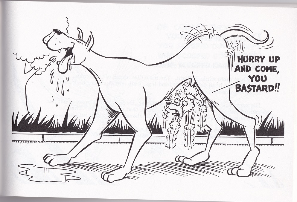 How the animals do it/Animated Animals page 3 full