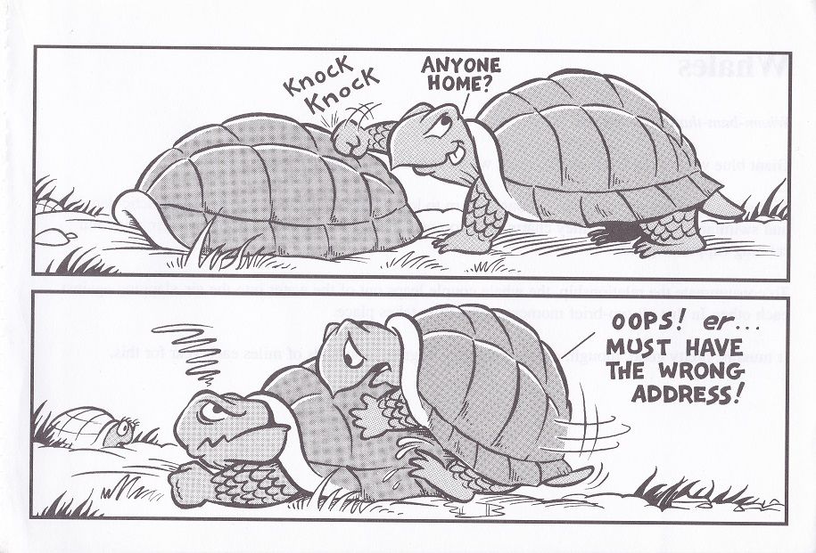 How the animals do it/Animated Animals page 8 full