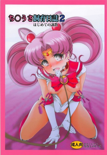 (C93) [Otokojuku (Nanashi Noizi)] Chibiusa Shiiku Nisshi 2 (Bishoujo Senshi Sailor Moon) cover