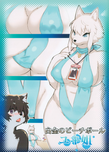 (C94) [Bungalow (WKAR)] Summer Encounter "Y" cover