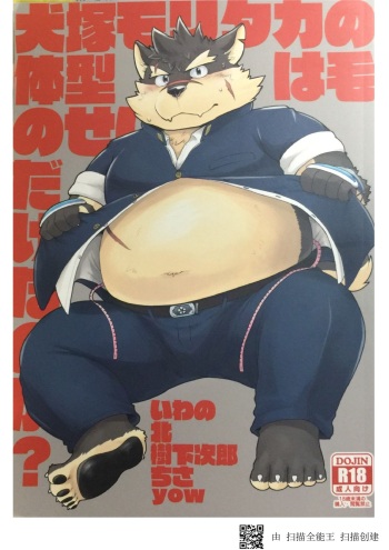 (Kemoket 6) [KAKUNI (Iwano)] Inudzuka moritaka no taikei wa ke no sei dakena no ka? (Tokyo Afterschool Summoners) cover