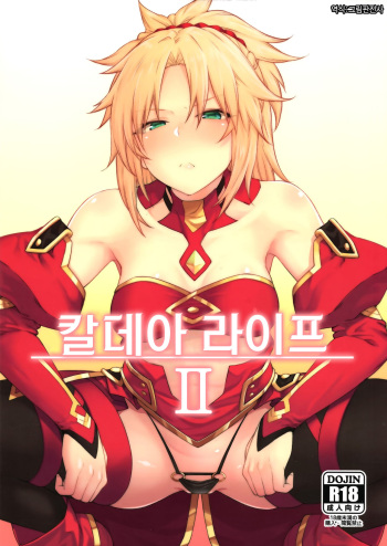 (C95) [Hirojuu Renshuuchou (Hiroya)] Chaldea Life II | 칼데아 라이프 II (Fate/Grand Order) [Korean] [그림판전사] cover