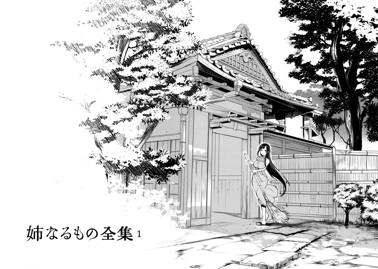 Ane Naru Mono Zenshuu 1 | Ane Naru Mono Complete Works 1 page 3 full
