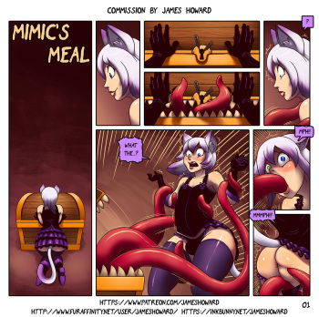 [James Howard] Commission for Nomidae cover