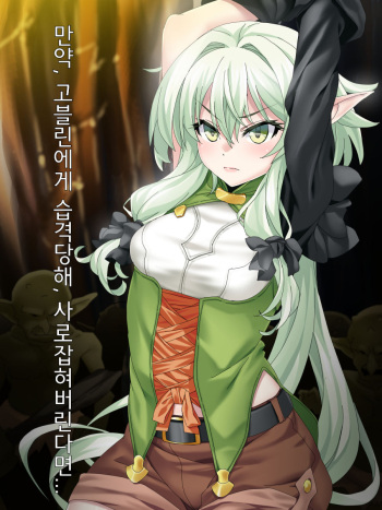 [Poncho!] Moshi, Kooni ni Osoware, Tsukamaeraretara... | 만약, 고블린에게 습격당해, 사로잡혀버린다면... (Goblin Slayer) [Korean] cover