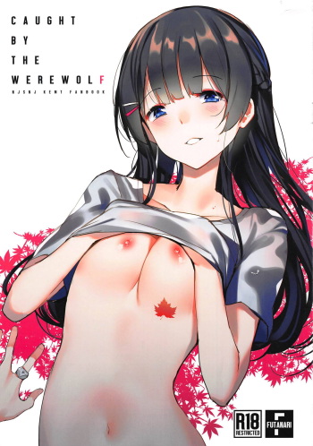 (C95) [virophilia (Orihi Chihiro)] Caught By the Werewolf (Tsukino Mito, Higuchi Kaede) cover