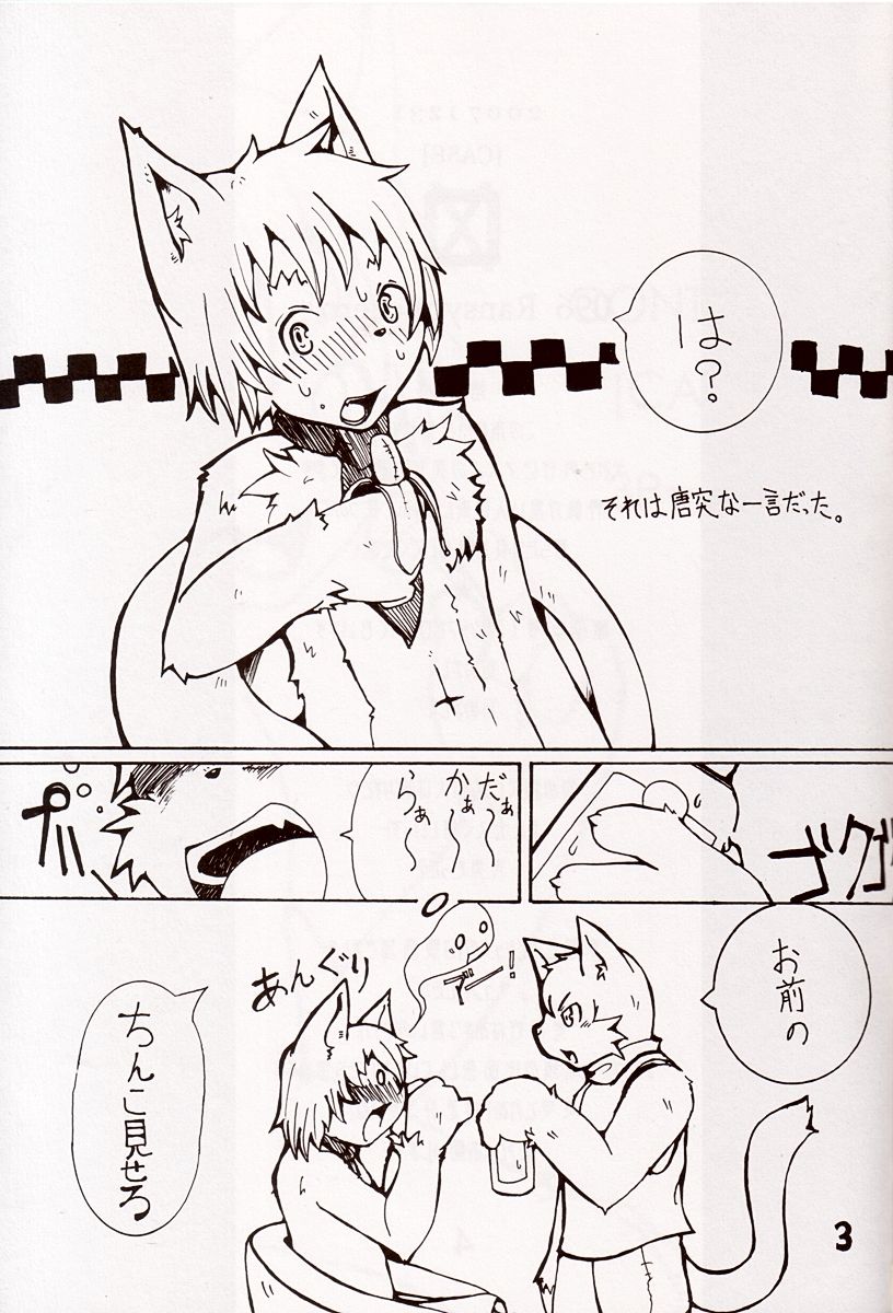  page 2 full