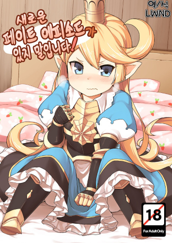 [SECREDER (Jingai Modoki)] Atarashii Fate Episode ga Arimasu! | 새로운 페이트 에피소드가 있지 말입니다! (Granblue Fantasy) [Korean] [LWND] [Digital] cover