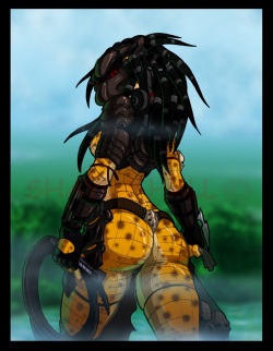 Alien vs Predator Collection