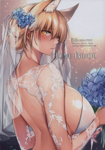 (C94) [Kodomo Beer (Yukibuster Z)] JUNE BRIDE Maternity Photo Book cover