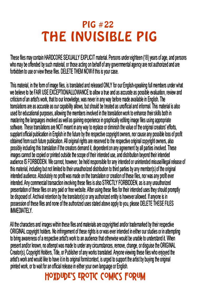 PIG #22  INVISABLE PIG - A JKSKINSFAN TRANSLATION page 2 full