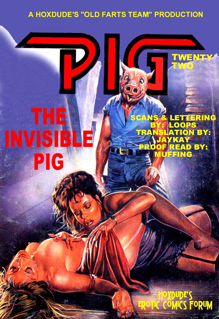 PIG #22  INVISABLE PIG - A JKSKINSFAN TRANSLATION page 3 full