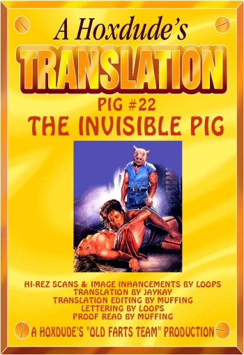 PIG #22  INVISABLE PIG - A JKSKINSFAN TRANSLATION cover