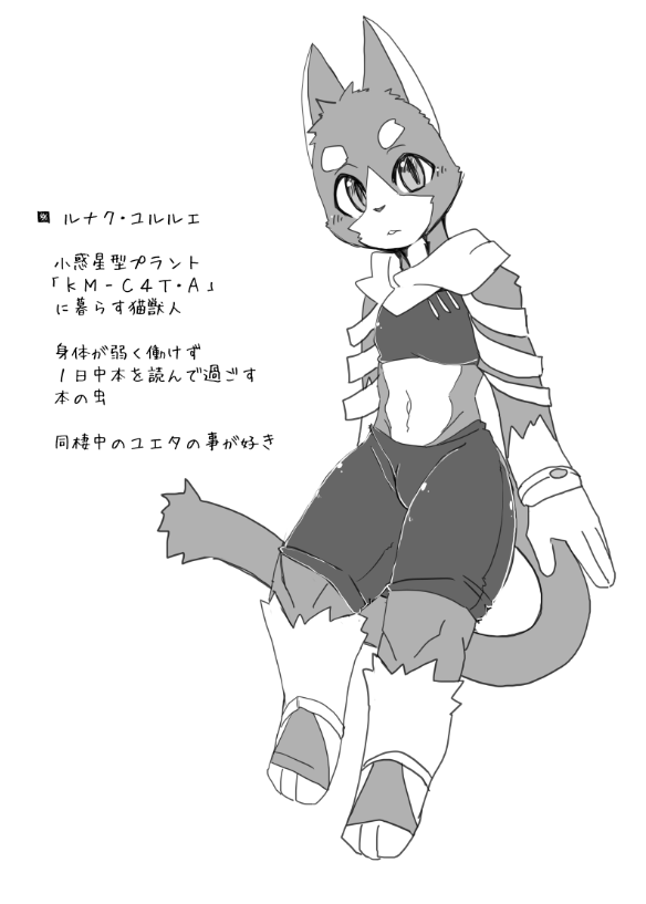 Motoichi -【けもケット６】ボクらの惑星には♂しかいない。【J-05】 page 11 full