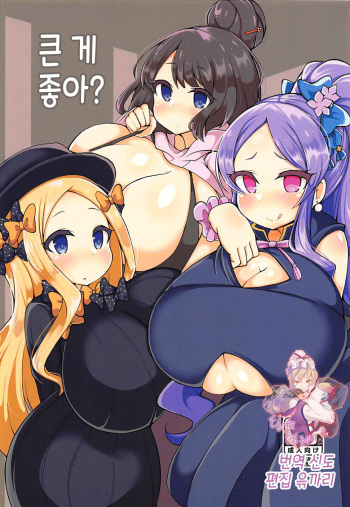 (C94) [Yakousei Fanclub (Detritus)] Ookii no ga Osuki? | 큰 게 좋아? (Fate/Grand Order) [Korean] [팀☆데레마스] cover