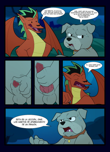 [Blitzdrachin] Dragon Lessons (American Dragon Jake Long) (Español) (Parte 1 & 2) cover