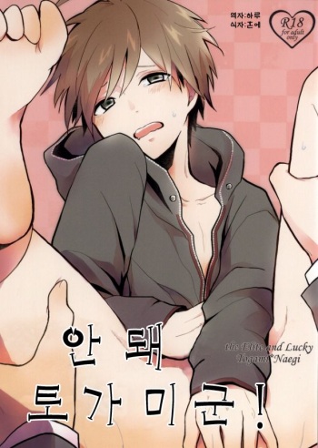(C85) [kirscherise (hana)] Dame da yo Togami-kun! | 안돼 토가미군! (Danganronpa) [Korean] [하루] cover
