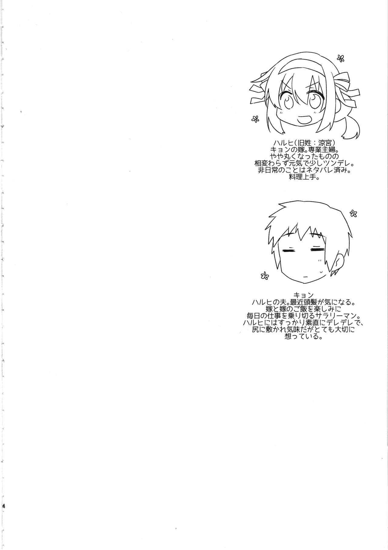 Haruhi wa Ore no Yome page 3 full