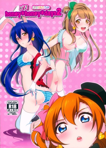 (C90) [Fukurou no Yuubinya san (Ueto Ruri)] honey*honey*days2 (Love Live!) cover