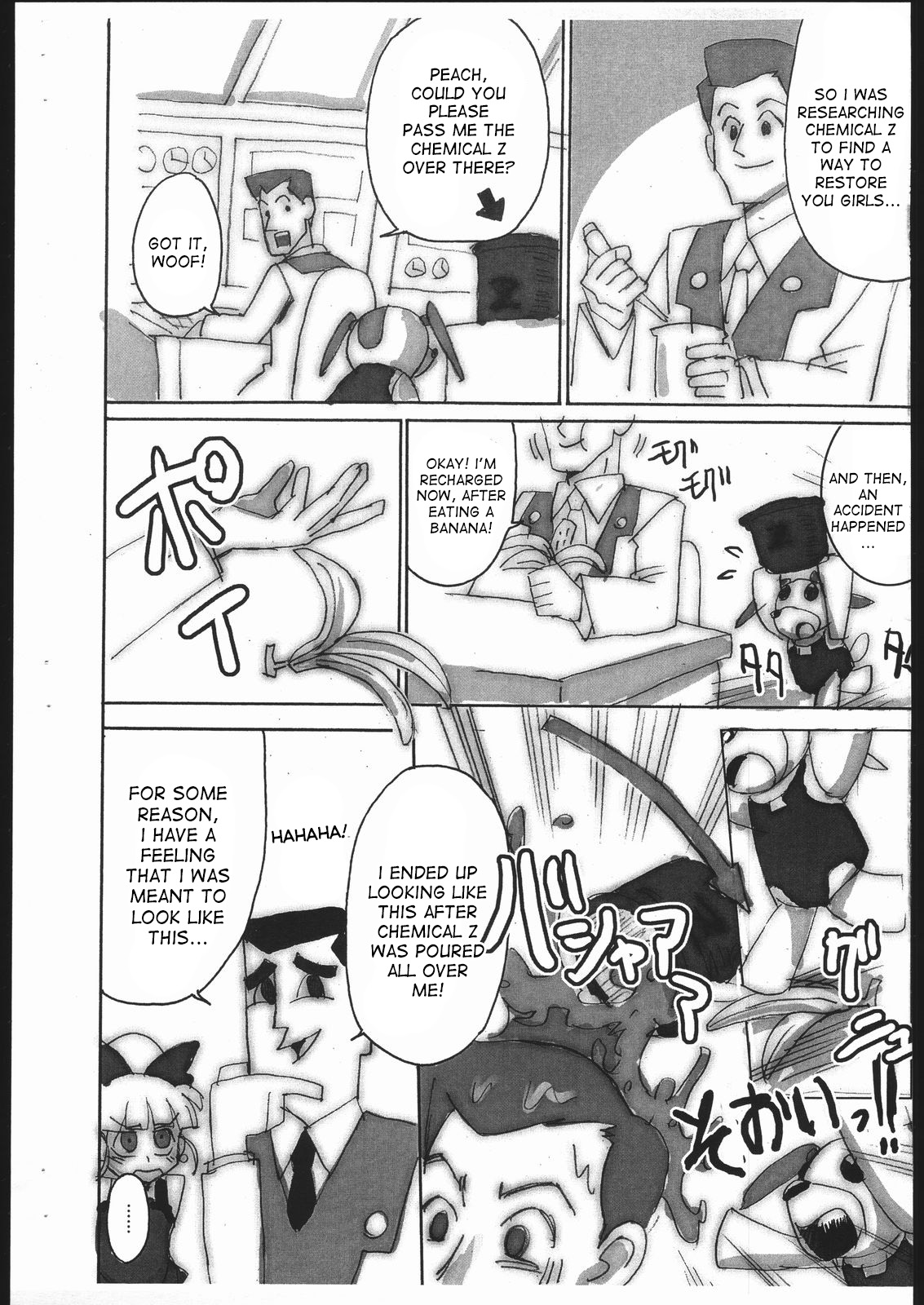 PPGZH page 3 full