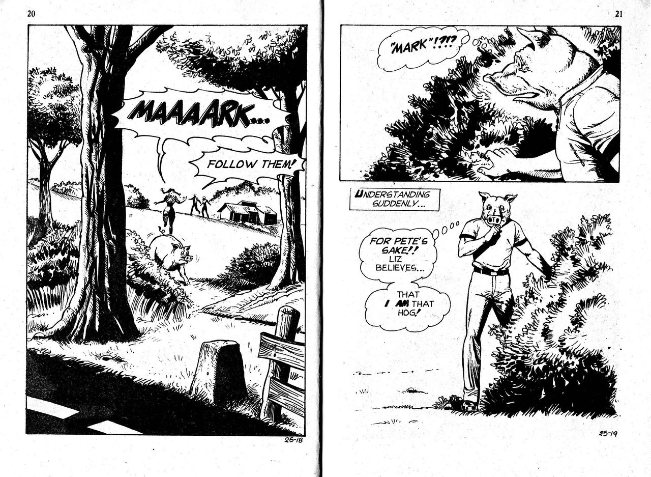PIG #25  "SWITCHING PIGS" - ENGLISH page 11 full