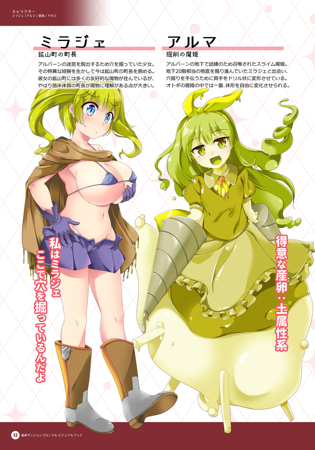 Naedoko Dungeon Chronicle Official Design Works page 11 full