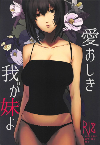 (Panzer Vor! 14) [Seiteijin (Kawadu)] Itooshiki Waga Imo yo (Girls und Panzer) cover