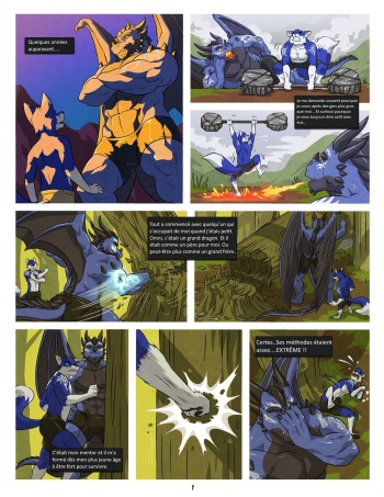 [WFA] Black and Blue II (french) cover